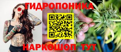 эйфоретик Камышлов