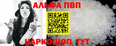 скорость Кингисепп
