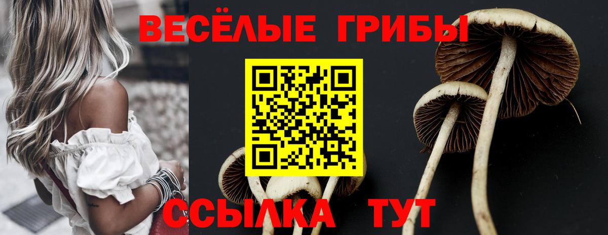 Псилоцибиновые грибы MAGIC MUSHROOMS  Галлюциногенные грибы Magic Shrooms  что такое наркотик  Вход с VPN  Красноуфимск 