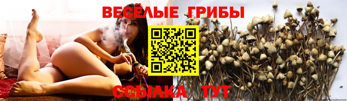 Галлюциногенные грибы ЛСД Красноуфимск